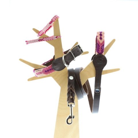 TZENDALES Set Maestrio
