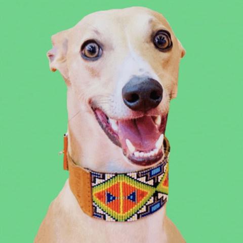 TILAPA Collier Mexicain