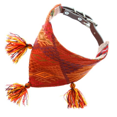 RIO NECAXA Bandana Mexicain