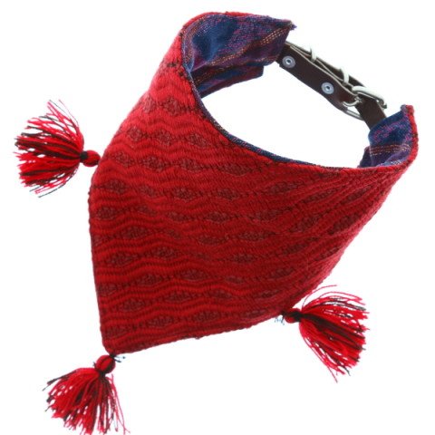 RIO PANUCO Bandana Mexicain