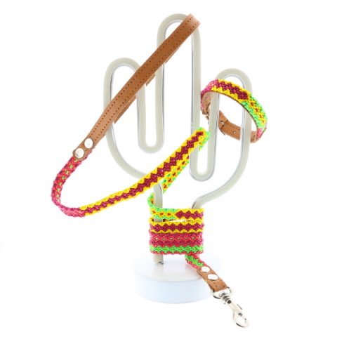ELIAS CALLES Laisse + Collier